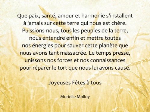 24h-cartes-2015-0005